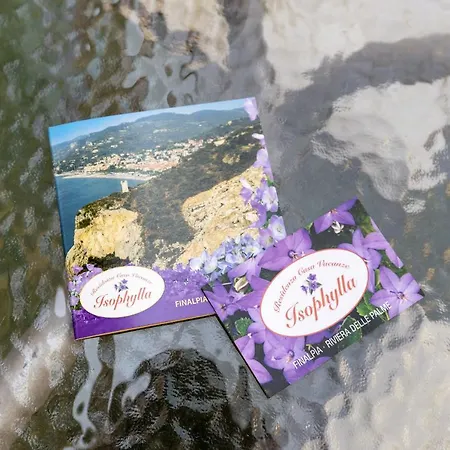 Appartement Isophylla Comfort *